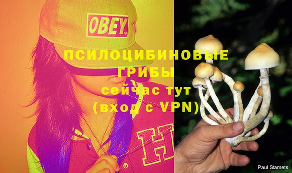 а пвп мука Верея