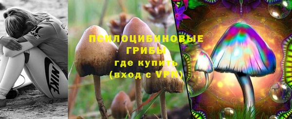 а пвп мука Верея