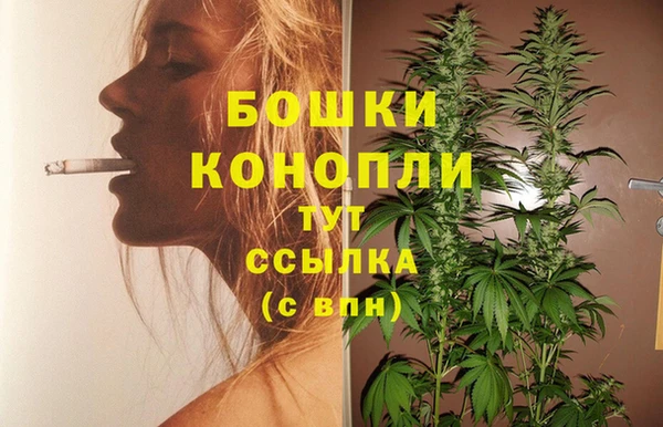 spice Ижевск